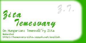 zita temesvary business card